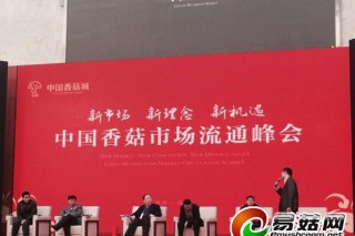 浙江庆元：依托“菇”文化 凝结香菇经济新增长极