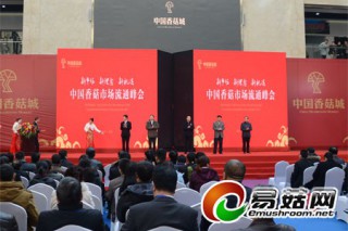 中国香菇城市场开业 ManBetX体育市场进入新时代