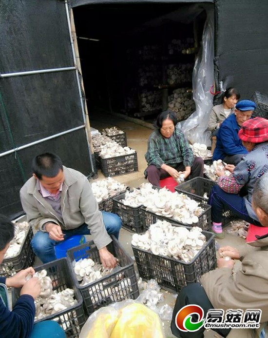 1114111103_14220023696851n