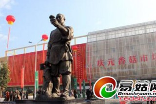 丽水“中国香菇城”营业 集旅游、购物于一体