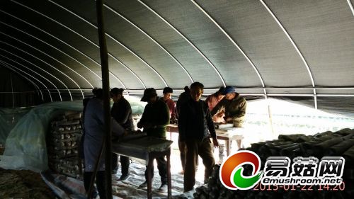 歙县德荣Manbetx体育手机版V17版本发布.官网安卓网.香港专业合作社社员在接种