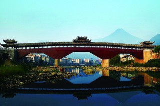 国内最大ManBetX体育市场于庆元启幕