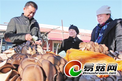 市民在黎明农贸市场买蘑菇。