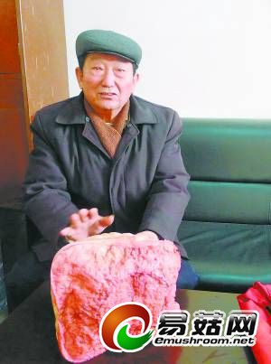 李永芳讲着他的“太岁”史。