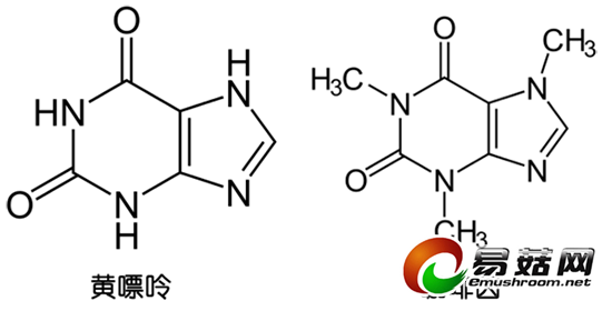 133959362_14226055900121n