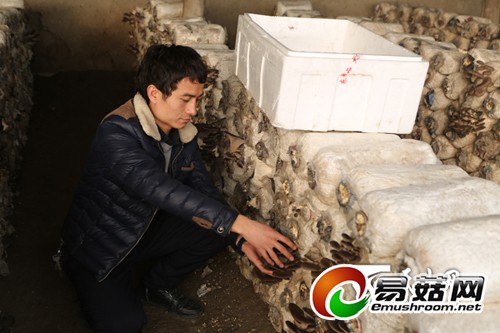 “庭院种植Manbetx体育手机版V17版本发布.官网安卓网.香港”富了新和县农民口袋