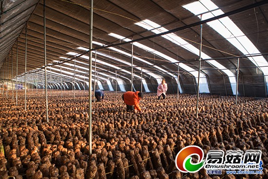 1114285699_14232147422811n