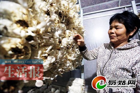 女子种植ManBetX体育年产值75万元 设计