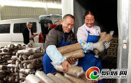 1114502077_14253588946711n