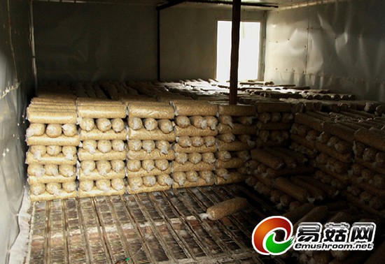 1114502077_14253587921671n