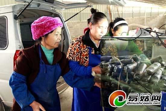 1114502077_14253587243081n