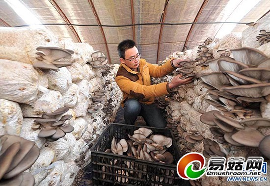 QQ截图20150304090857