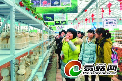 2936bafe-c2c4-41b1-b55d-29fcd955a322_size59_w400_h266