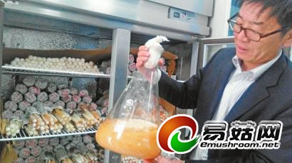 培育的液体菌种