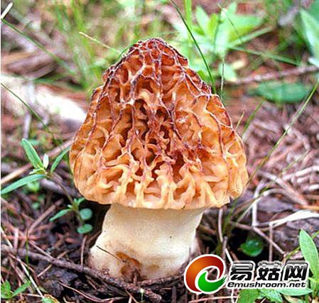 360截图20150314142316833