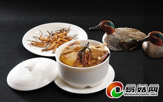 10460736_100203385171_2