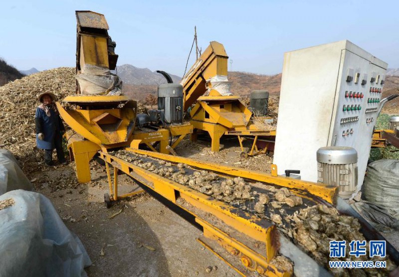 1114699518_14267542246391n