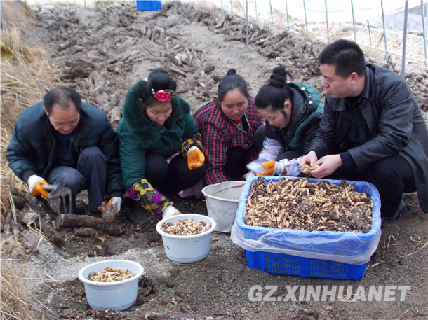 1114679942_14266462540171n