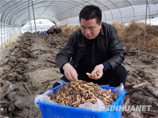 1114679942_14266462540871n