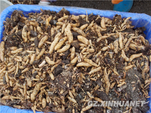 1114679942_14266462541581n