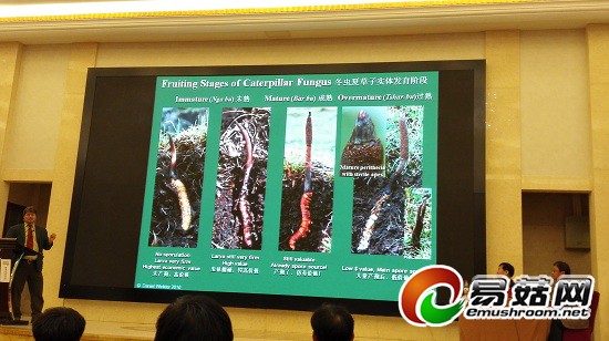 IMG_20150328_121132-580