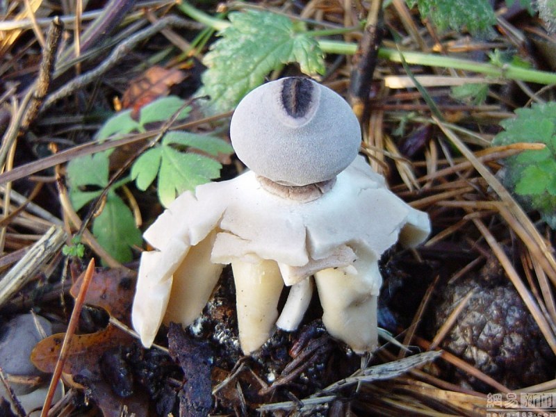 900600_AM1ECBND00AO0001