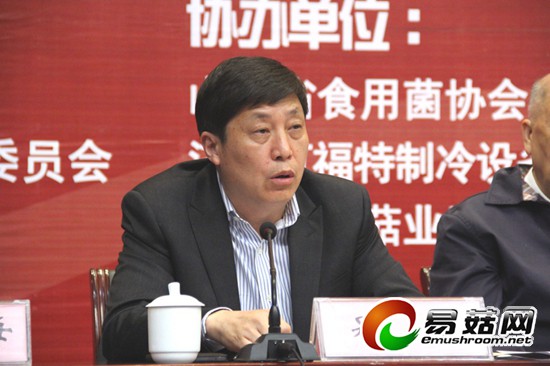 分会筹备工作发言