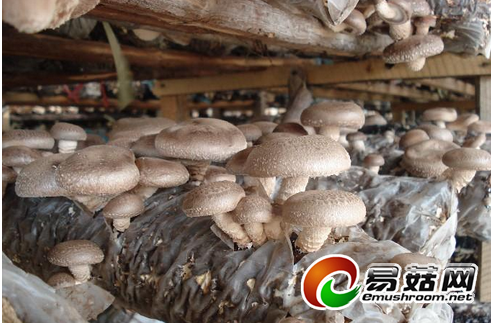 6YGC72RB5SZB[E8_OI(]B7G