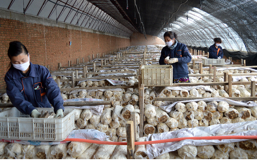 G9%YE0@3H2S5[]_ZITS4R%F