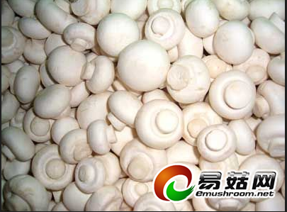 52N]S0O3V@`OSC%IPQHA1B7