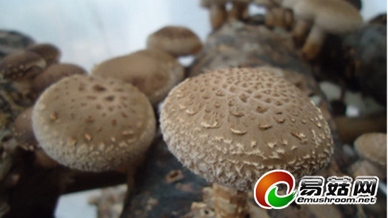 ZSFH8(FA~Y(){2IDS[EHGJL