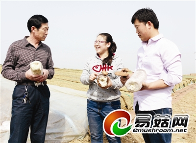 德州90后女孩蘑菇路