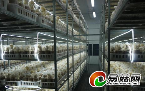 ]34RU7WZVRFPEDD3]K16~@J