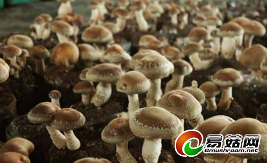 9HH(1]L(XU5~$0KOY`OO4YJ