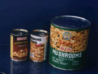 蘑菇罐头