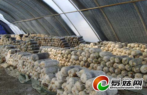 I(K~LJZK$5UEG]N8%5@K7FF