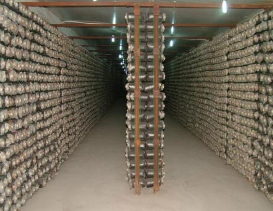 }3Q}BR%UFU~D1AJ]F8JZ{1A