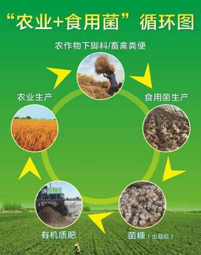 O_{B_$N[]3)6OTS{9252X6O