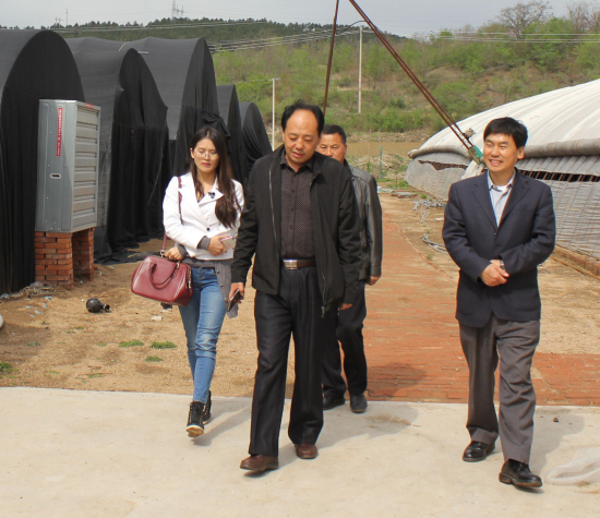 走进实验园区考察