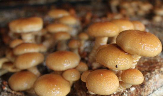 BUGDXS28`8UIH_C0T~`6ADS