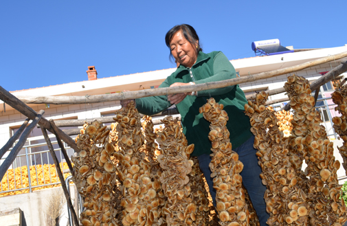 Z4]7M9W[$__F`W%PJXLLR)6