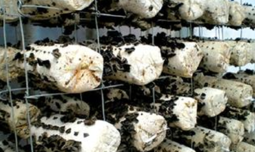 3ZZU[LGJP%8N]H0`U%~[)CT