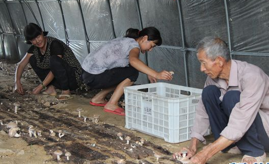 ]NXZD_QX]GM6FSP%~L%4P6F