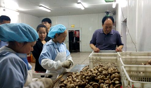 GH`OH05)[YB1M4LMHF@AINO