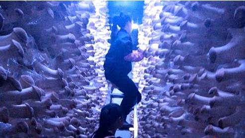 TBWC_K@6TGA[``5O(%Q2X}V