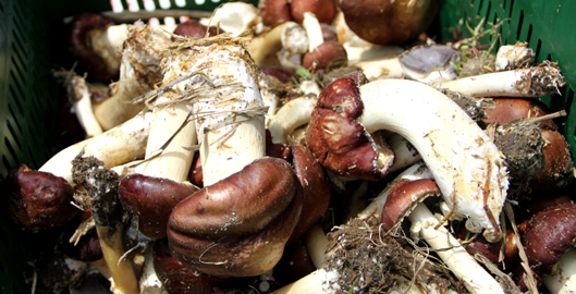 %R1SR1@Q@4KGNBD$UGZQK]R