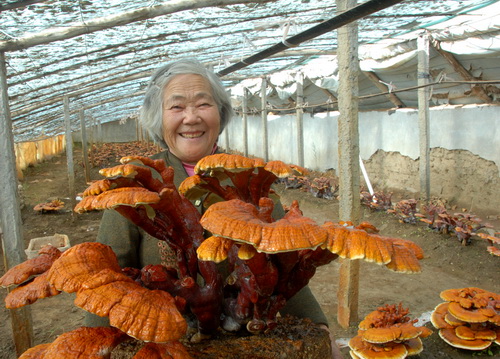 xin_0231007131235093149794