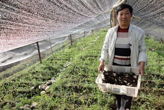 Manbetx体育手机版V17版本发布.官网安卓网.香港1