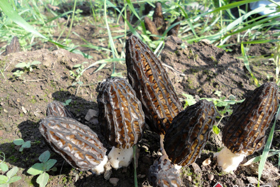 Manbetx体育手机版V17版本发布.官网安卓网.香港2