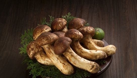 NGRINO5$6YT9)QXB(Z7NF05